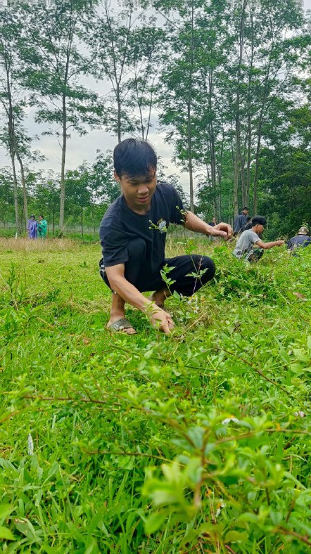 𝐊𝐄𝐑𝐉𝐀 𝐁𝐀𝐊𝐓𝐈 - 𝐉𝐀𝐍𝐔𝐀𝐑𝐈Setiap bulan, kami rutin mengadakan kegiatan kerja bakti, salah satunya adalah merapikan lapangan sepak bola kami yang sering kali ditumbuhi rumput liar yang sudah sangat panjang. Kegiatan ini menjadi momen kebersamaan yang melibatkan seluruh anggota.Menariknya, pada kerja bakti kali ini, kami memulai aktivitas di pagi hari dengan suasana berbeda karena gerimis sempat turun, membasahi lapangan dan menyejukkan udara. Meski sempat khawatir kegiatan akan terganggu, gerimis itu justru menambah kesan unik dan menyenangkan. Dengan semangat gotong royong, kami tetap melanjutkan tugas membersihkan lapangan hingga tuntas.Setelah beberapa jam bekerja bersama, lapangan yang sebelumnya tertutup rumput liar kini terlihat rapi dan bersih, siap untuk digunakan kembali. Momen ini tidak hanya menjadi ajang menjaga fasilitas desa, tetapi juga mempererat rasa kebersamaan di antara kami.𝐊𝐄𝐑𝐉𝐀 𝐁𝐀𝐊𝐓𝐈 - 𝐉𝐀𝐍𝐔𝐀𝐑𝐈Setiap bulan, kami rutin mengadakan kegiatan kerja bakti, salah satunya adalah merapikan lapangan sepak bola kami yang sering kali ditumbuhi rumput liar yang sudah sangat panjang. Kegiatan ini menjadi momen kebersamaan yang melibatkan seluruh anggota.Menariknya, pada kerja bakti kali ini, kami memulai aktivitas di pagi hari dengan suasana berbeda karena gerimis sempat turun, membasahi lapangan dan menyejukkan udara. Meski sempat khawatir kegiatan akan terganggu, gerimis itu justru menambah kesan unik dan menyenangkan. Dengan semangat gotong royong, kami tetap melanjutkan tugas membersihkan lapangan hingga tuntas.Setelah beberapa jam bekerja bersama, lapangan yang sebelumnya tertutup rumput liar kini terlihat rapi dan bersih, siap untuk digunakan kembali. Momen ini tidak hanya menjadi ajang menjaga fasilitas desa, tetapi juga mempererat rasa kebersamaan di antara kami.